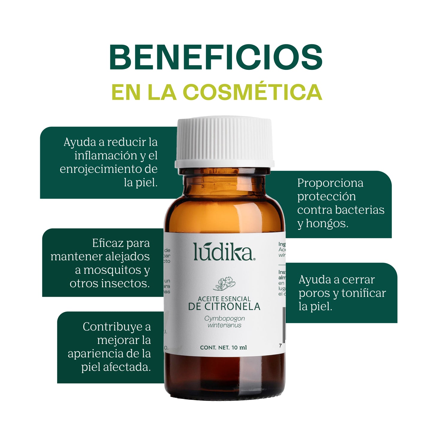 Aceite Esencial de Citronela | Corporal, Spa y Aromaterapia | Repelente Natural, Calmante y Purificante para Piel y Ambiente