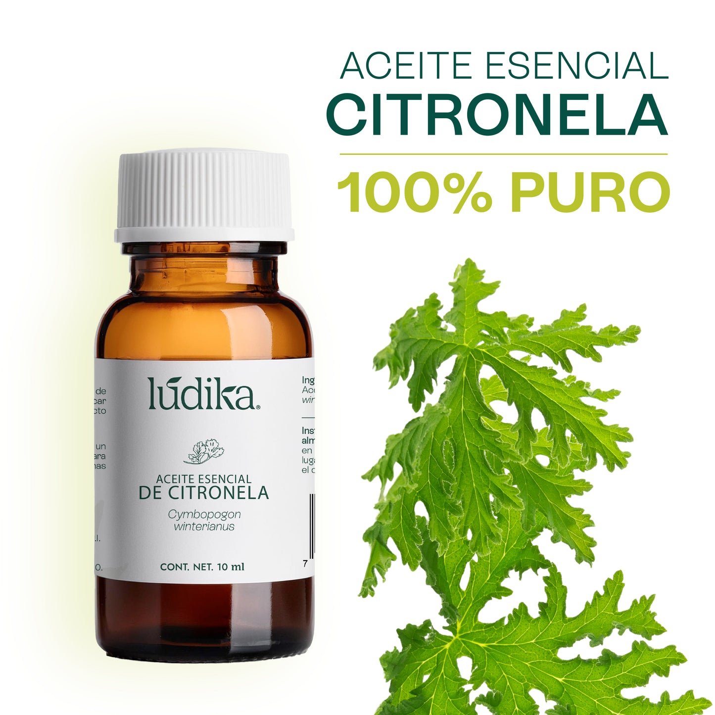 Aceite Esencial de Citronela | Corporal, Spa y Aromaterapia | Repelente Natural, Calmante y Purificante para Piel y Ambiente