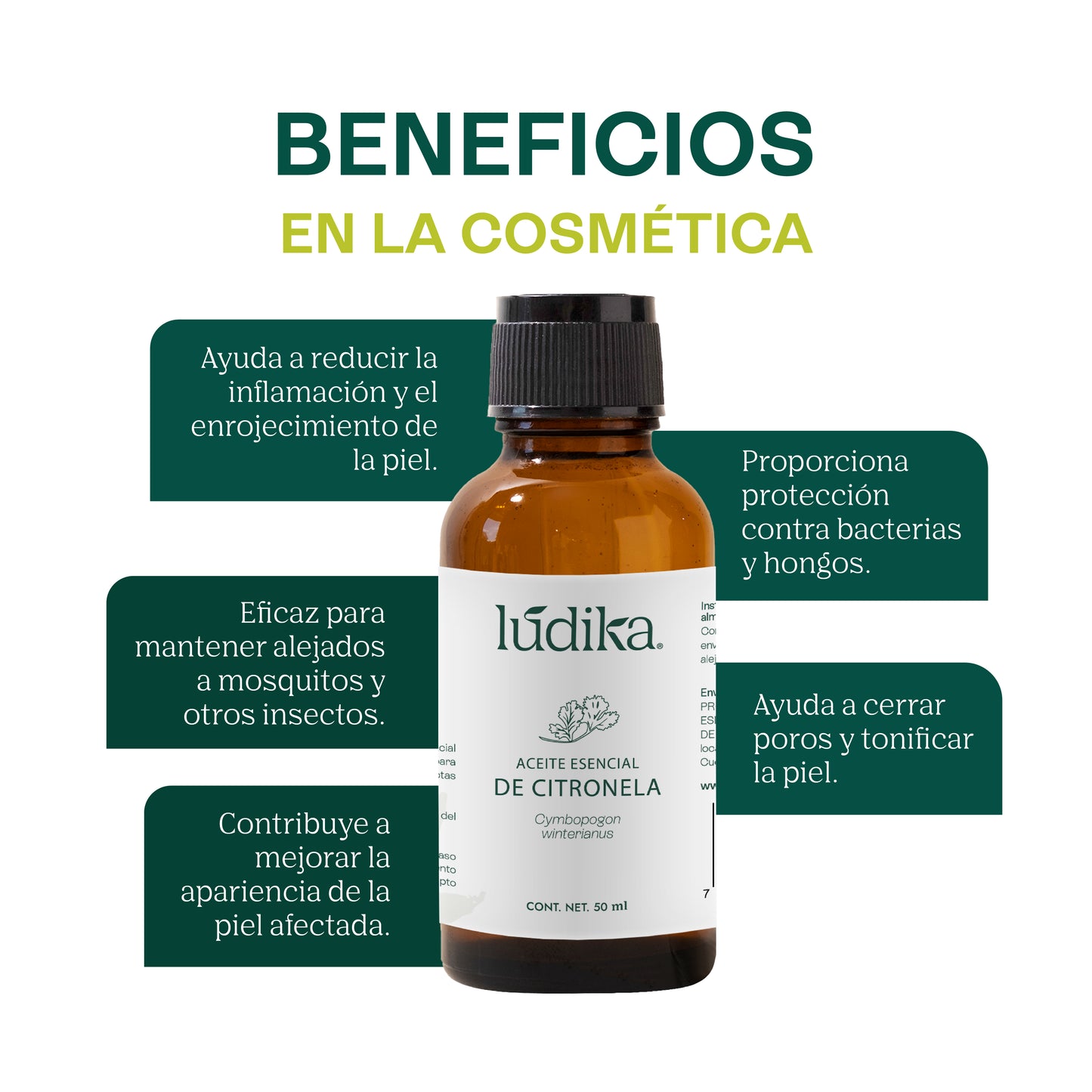 Aceite Esencial de Citronela | Corporal, Spa y Aromaterapia | Repelente Natural, Calmante y Purificante para Piel y Ambiente