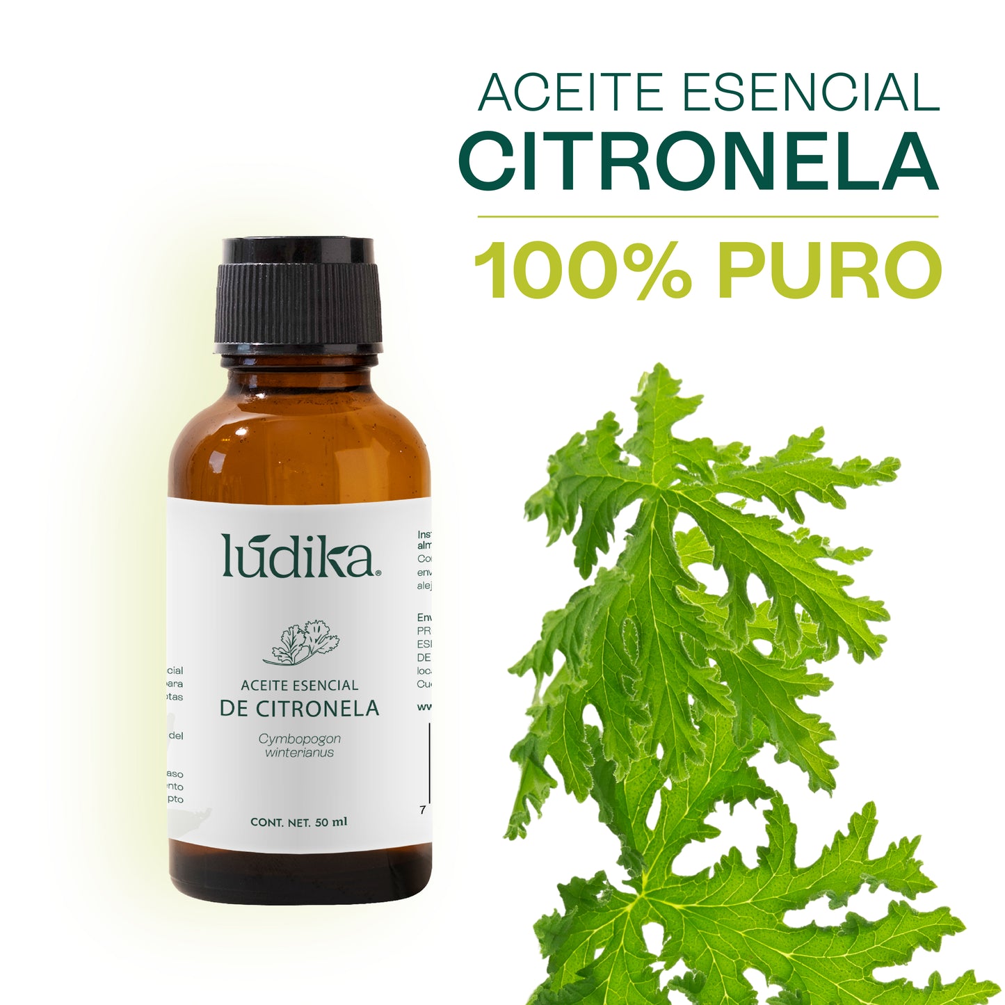 Aceite Esencial de Citronela | Corporal, Spa y Aromaterapia | Repelente Natural, Calmante y Purificante para Piel y Ambiente