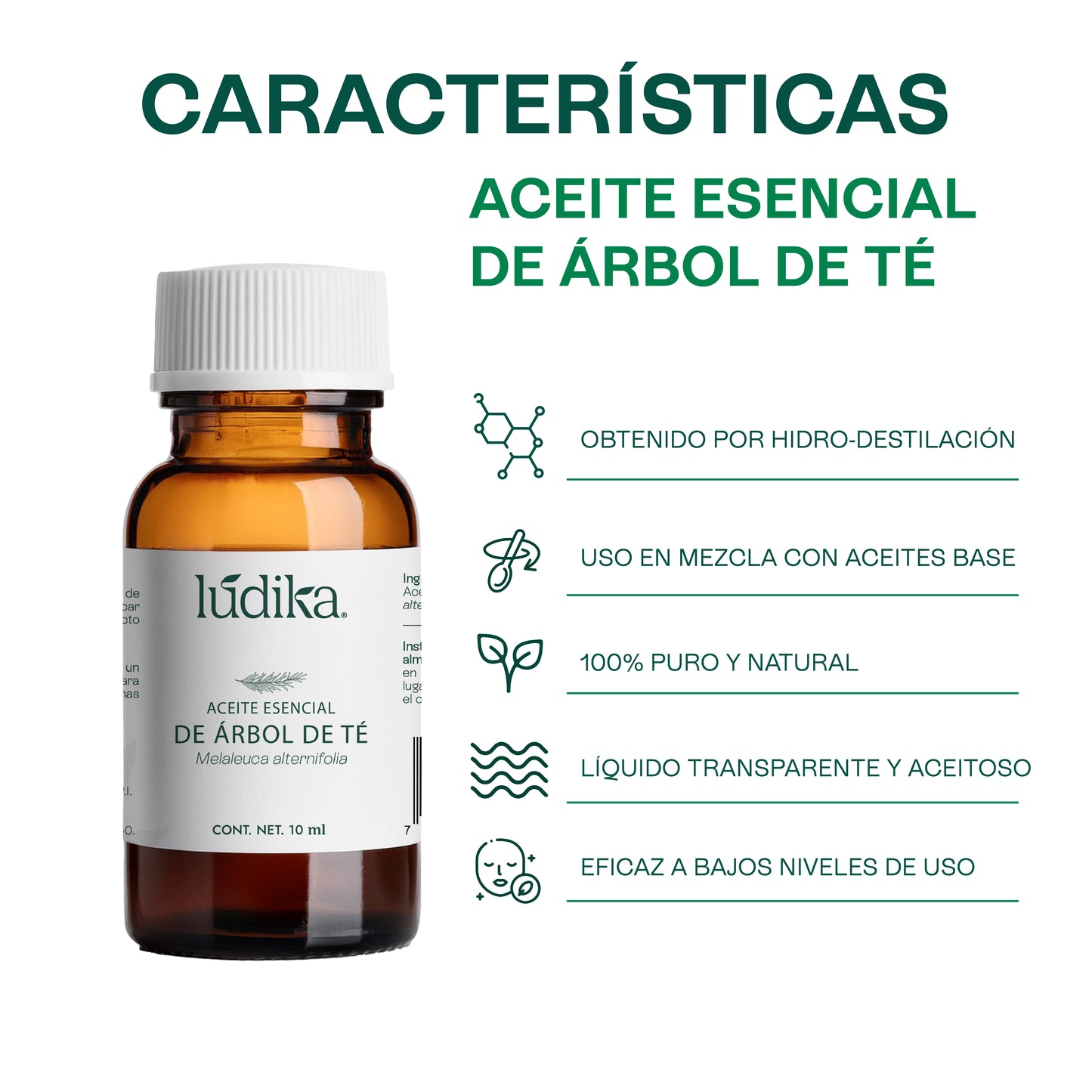 Aceite Esencial de Árbol de Té o Tea Tree | Capilar, Facial y Corporal | El Poderoso Aliado Antiséptico y Purificante para Piel, Cabello y Bienestar