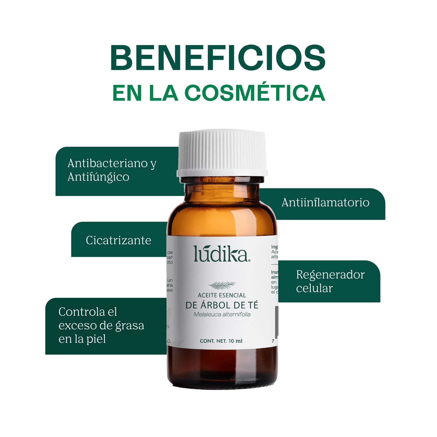 Aceite Esencial de Árbol de Té o Tea Tree | Capilar, Facial y Corporal | El Poderoso Aliado Antiséptico y Purificante para Piel, Cabello y Bienestar