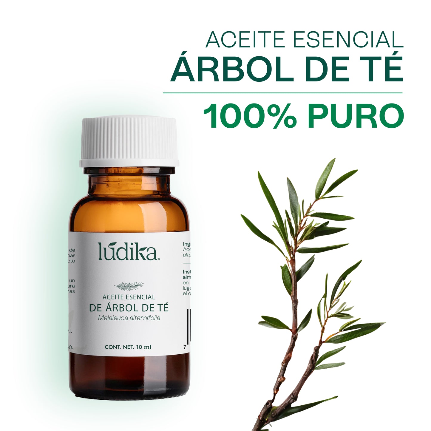 Aceite Esencial de Árbol de Té o Tea Tree | Capilar, Facial y Corporal | El Poderoso Aliado Antiséptico y Purificante para Piel, Cabello y Bienestar
