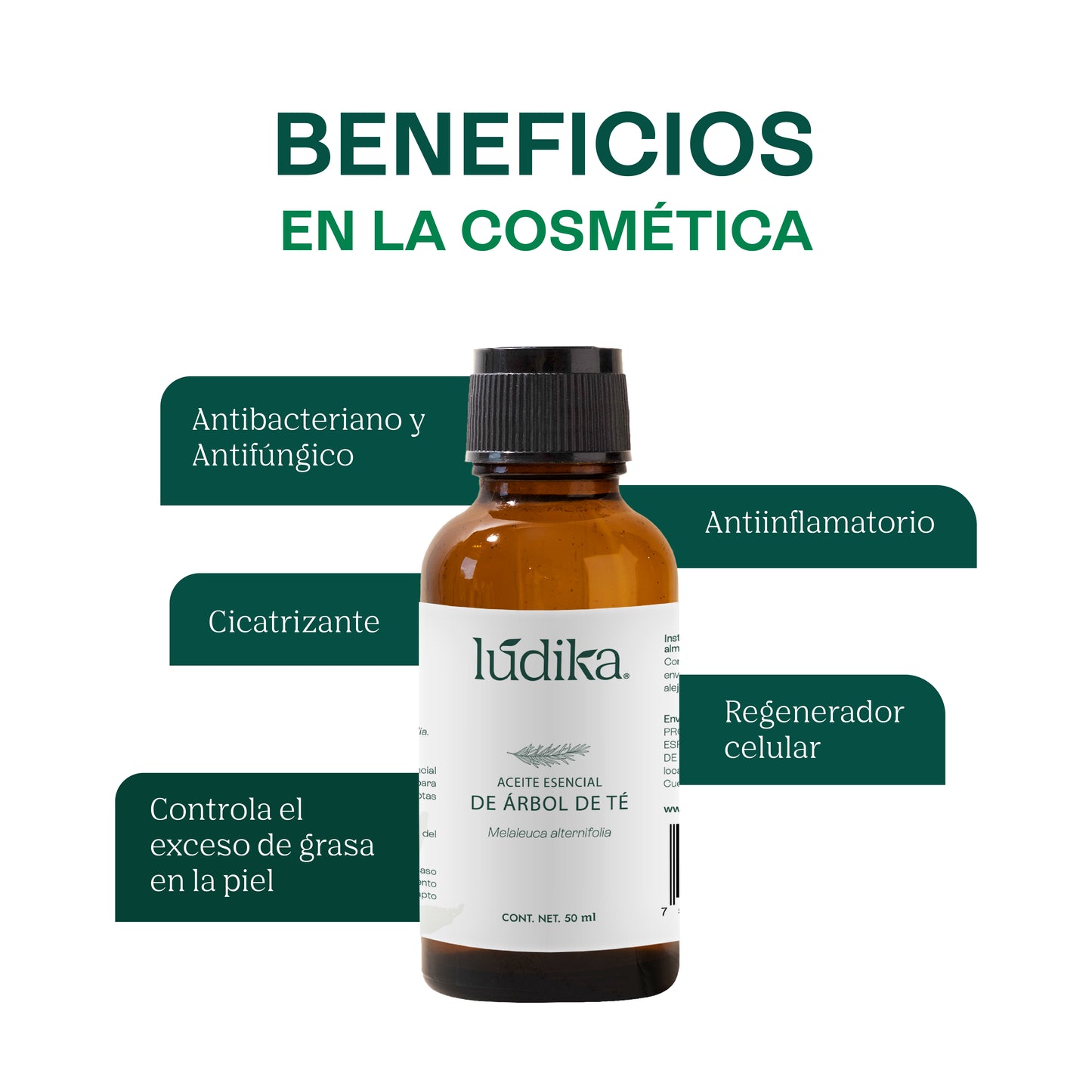 Aceite Esencial de Árbol de Té o Tea Tree | Capilar, Facial y Corporal | El Poderoso Aliado Antiséptico y Purificante para Piel, Cabello y Bienestar