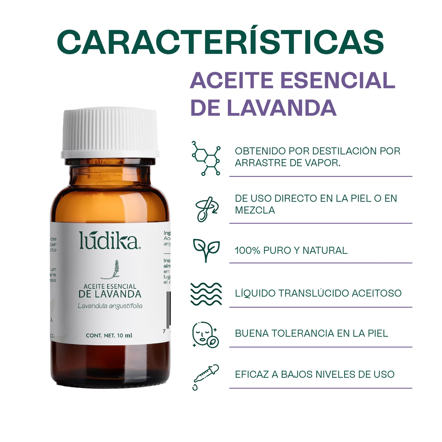 Aceite Esencial de Lavanda | Facial, Spa y Aromaterapia | Calmante, Regenerador Cutáneo y Equilibrante para Piel, Cabello y Mente