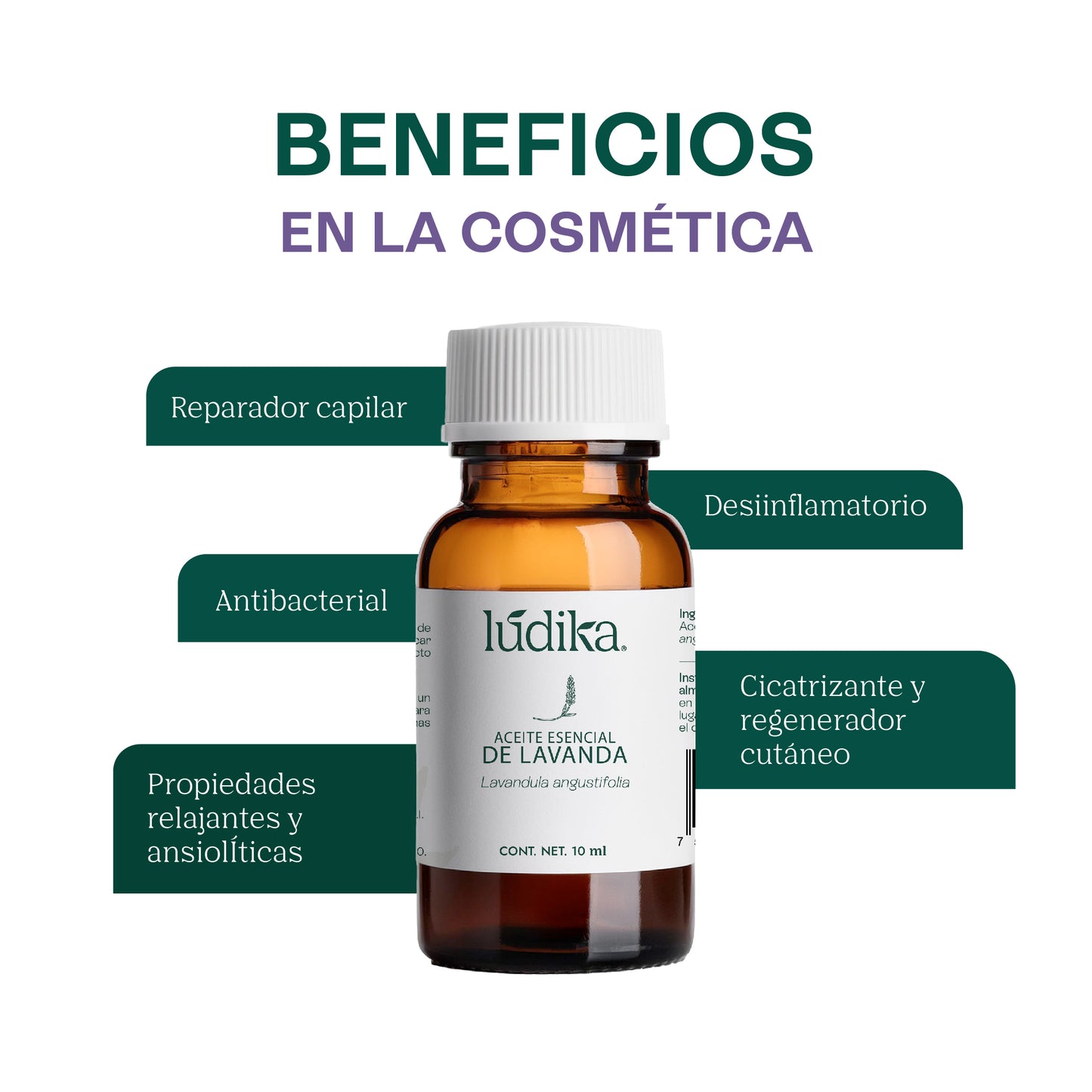 Aceite Esencial de Lavanda | Facial, Spa y Aromaterapia | Calmante, Regenerador Cutáneo y Equilibrante para Piel, Cabello y Mente