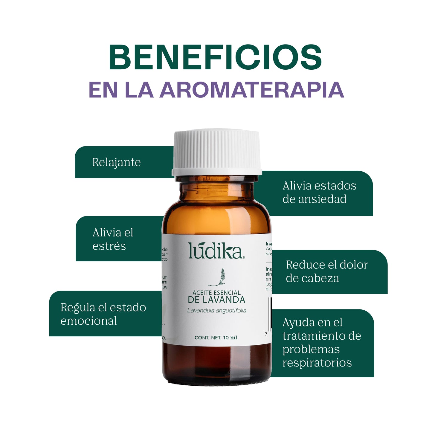 Aceite Esencial de Lavanda | Facial, Spa y Aromaterapia | Calmante, Regenerador Cutáneo y Equilibrante para Piel, Cabello y Mente