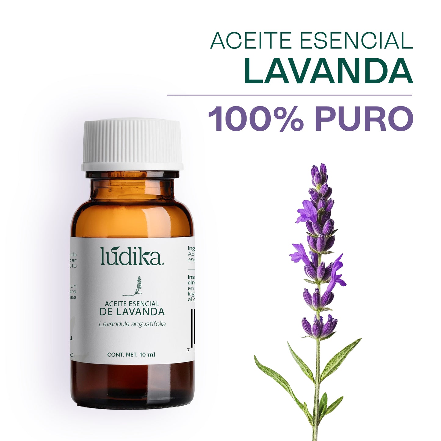 Aceite Esencial de Lavanda | Facial, Spa y Aromaterapia | Calmante, Regenerador Cutáneo y Equilibrante para Piel, Cabello y Mente