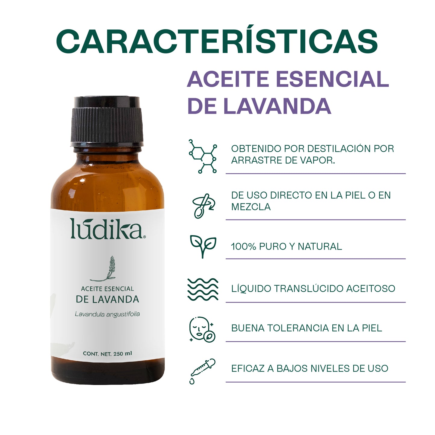 Aceite Esencial de Lavanda | Facial, Spa y Aromaterapia | Calmante, Regenerador Cutáneo y Equilibrante para Piel, Cabello y Mente
