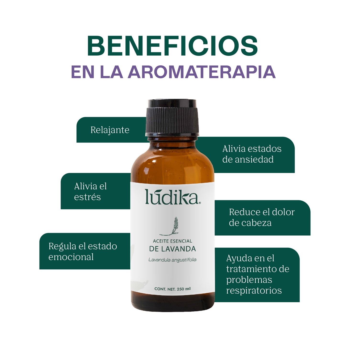 Aceite Esencial de Lavanda | Facial, Spa y Aromaterapia | Calmante, Regenerador Cutáneo y Equilibrante para Piel, Cabello y Mente