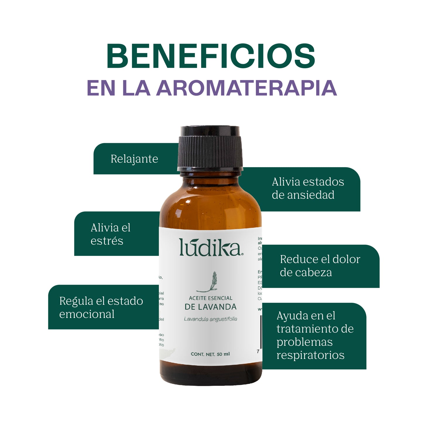 Aceite Esencial de Lavanda | Facial, Spa y Aromaterapia | Calmante, Regenerador Cutáneo y Equilibrante para Piel, Cabello y Mente