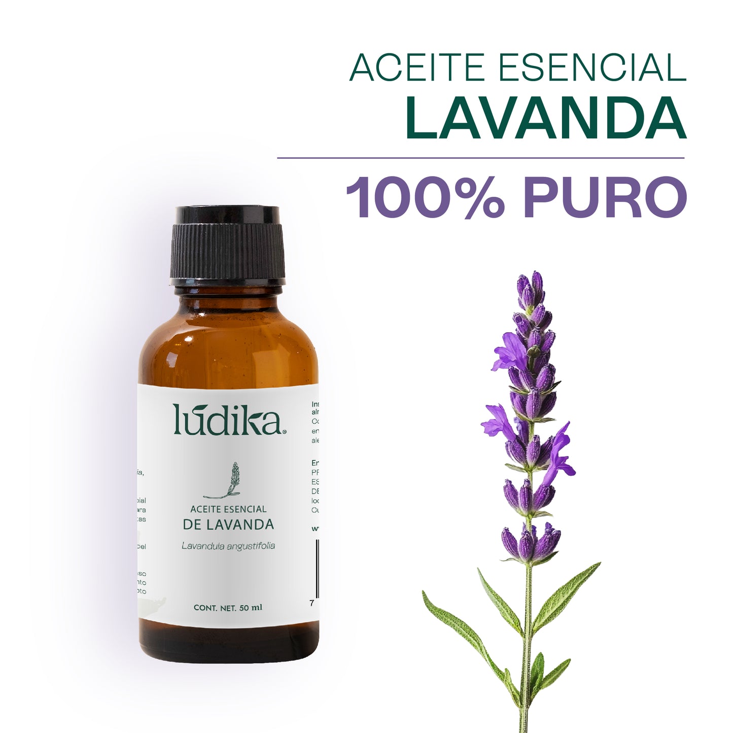 Aceite Esencial de Lavanda | Facial, Spa y Aromaterapia | Calmante, Regenerador Cutáneo y Equilibrante para Piel, Cabello y Mente