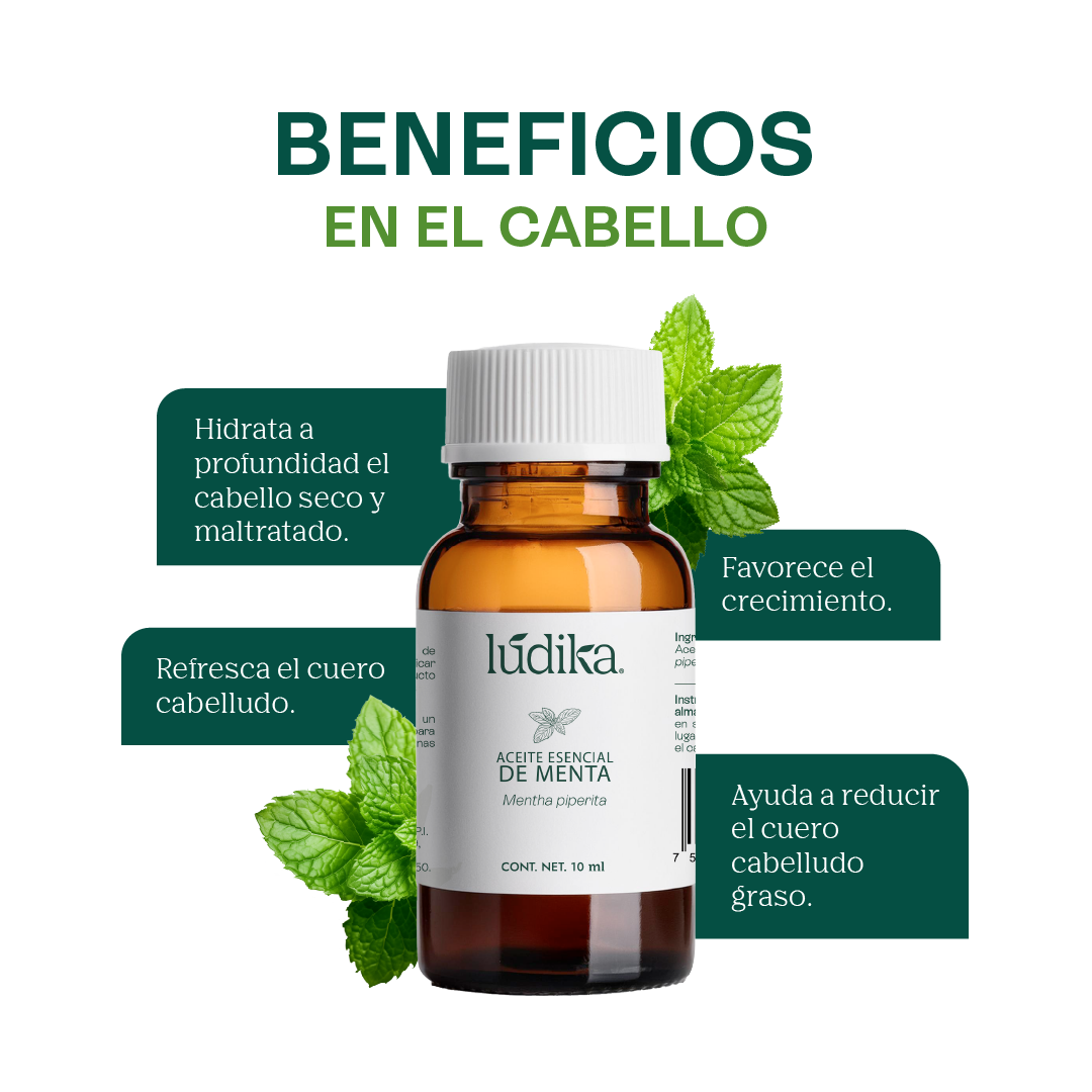 Aceite Esencial de Menta Piperita | Capilar, Spa y Aromaterapia | Explosión de Frescura y Bienestar para Cabello, Piel y Mente