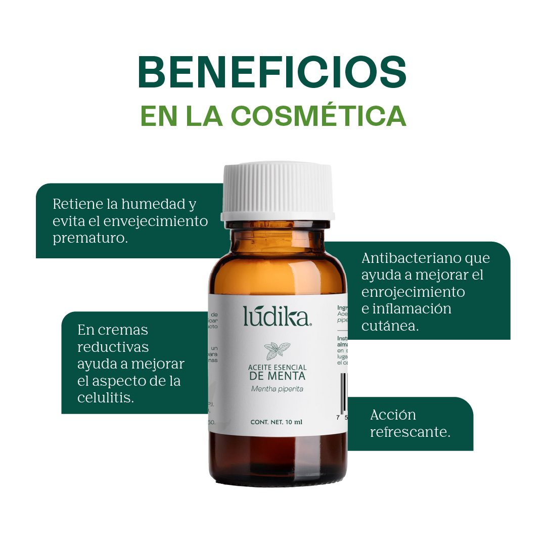 Aceite Esencial de Menta Piperita | Capilar, Spa y Aromaterapia | Explosión de Frescura y Bienestar para Cabello, Piel y Mente