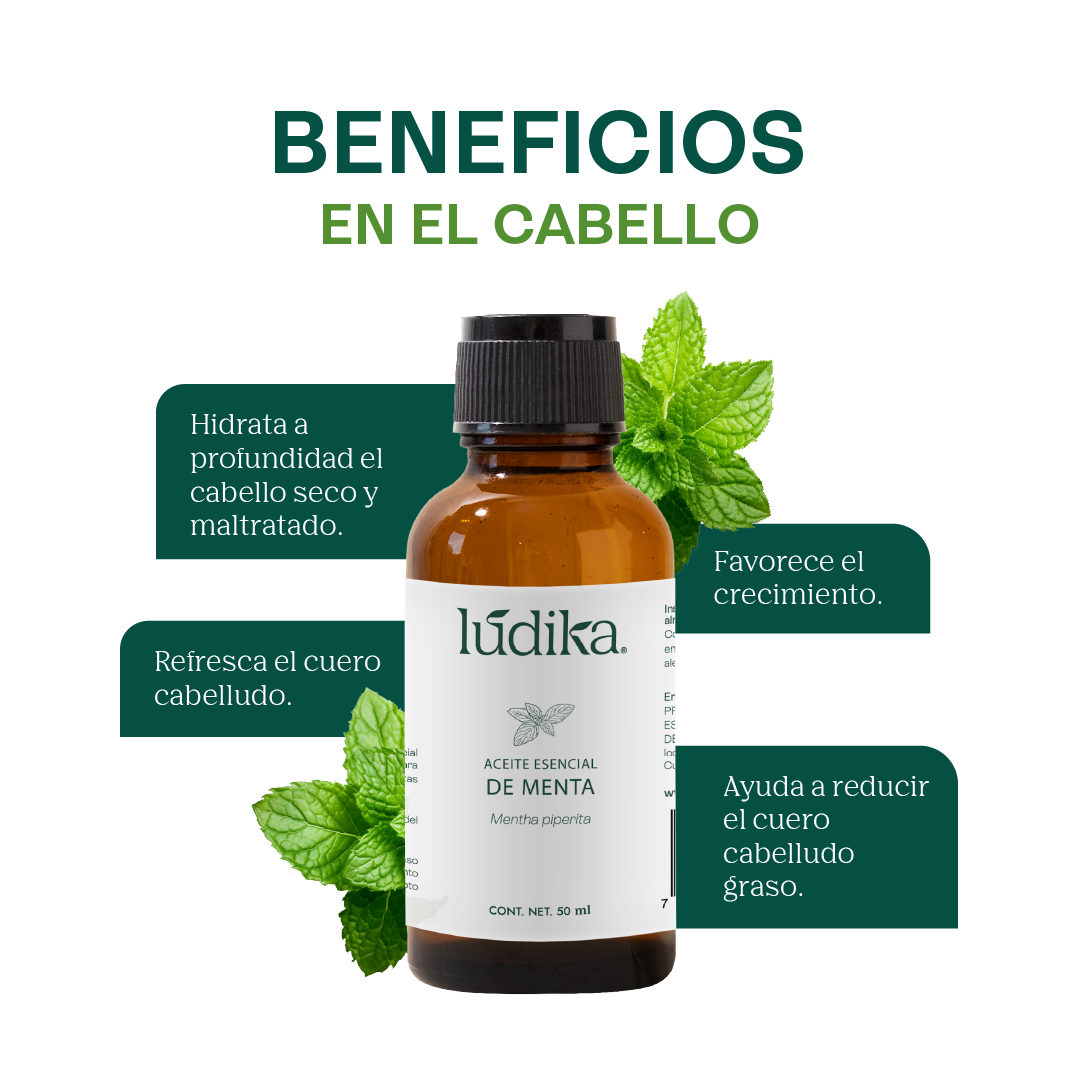 Aceite Esencial de Menta Piperita | Capilar, Spa y Aromaterapia | Explosión de Frescura y Bienestar para Cabello, Piel y Mente