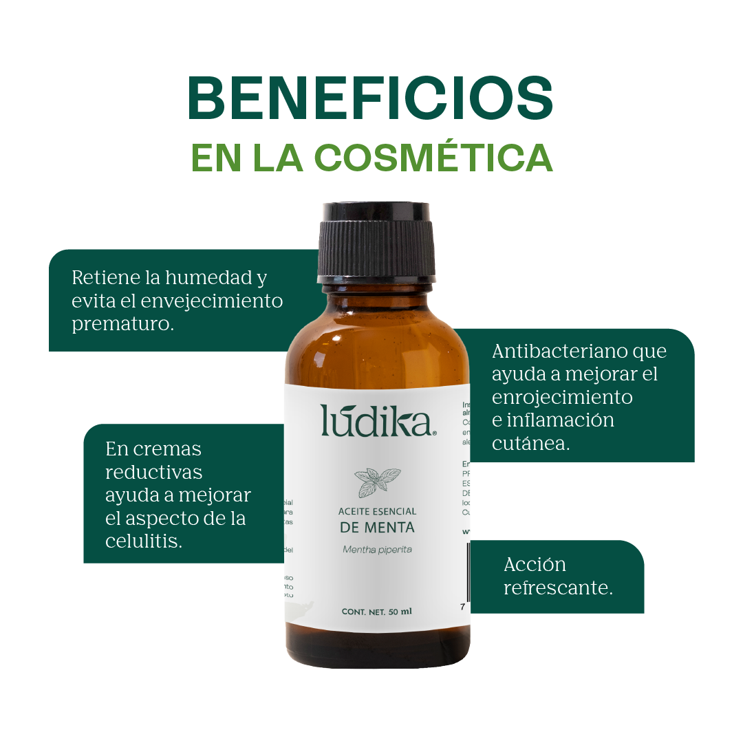 Aceite Esencial de Menta Piperita | Capilar, Spa y Aromaterapia | Explosión de Frescura y Bienestar para Cabello, Piel y Mente