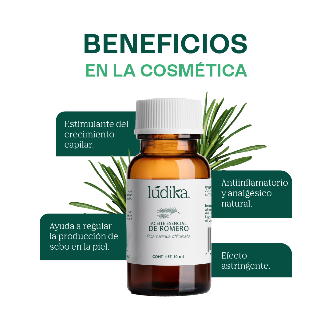 Aceite Esencial de Romero | Capilar, Facial y Aromaterapia | El Secreto Milenario para un Cabello Fuerte, Piel Renovada y Mente Despejada