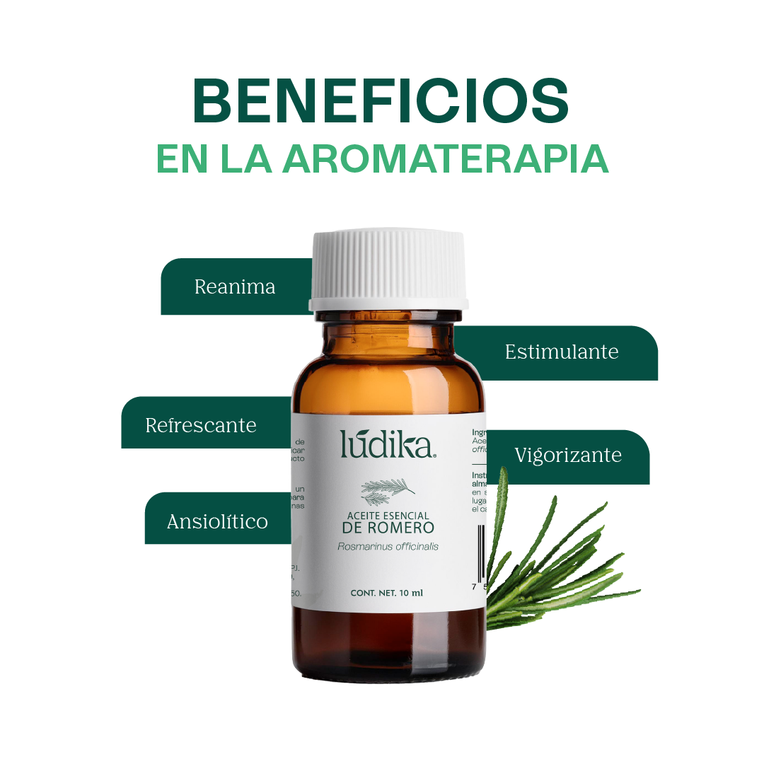Aceite Esencial de Romero | Capilar, Facial y Aromaterapia | El Secreto Milenario para un Cabello Fuerte, Piel Renovada y Mente Despejada