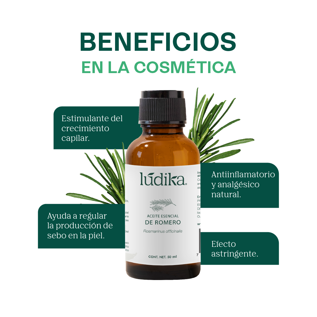 Aceite Esencial de Romero | Capilar, Facial y Aromaterapia | El Secreto Milenario para un Cabello Fuerte, Piel Renovada y Mente Despejada