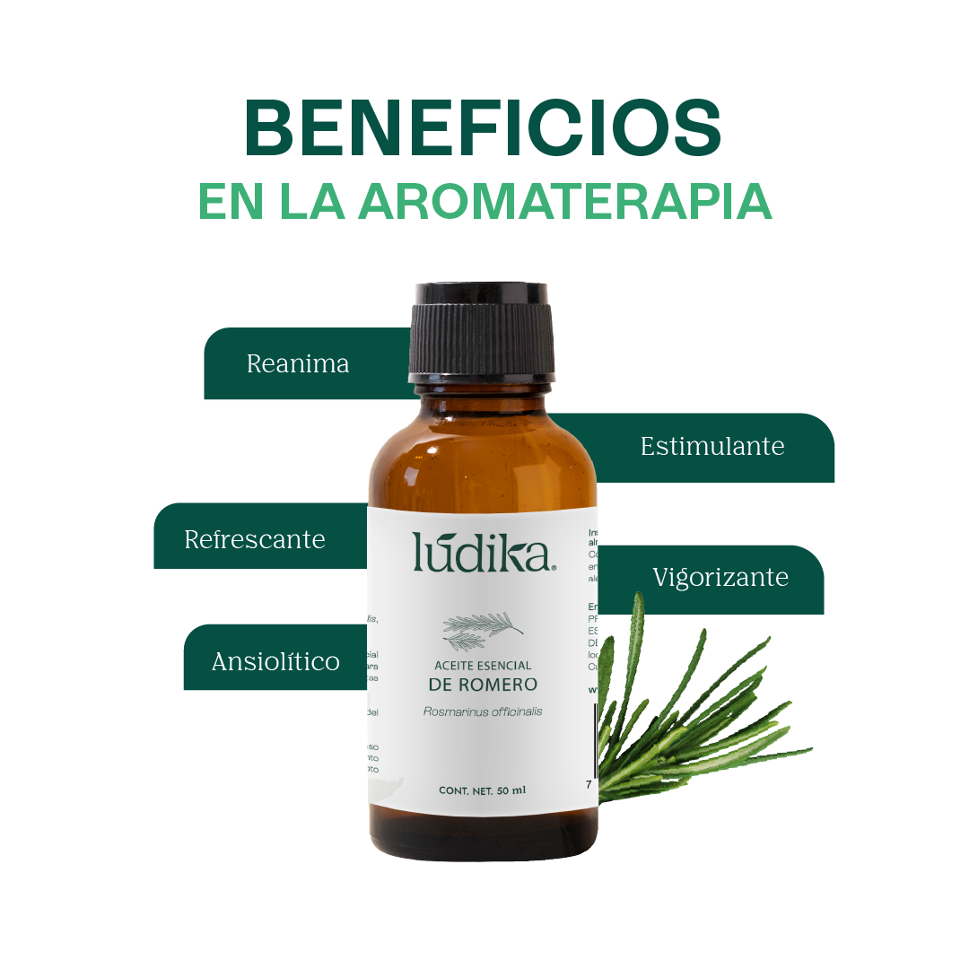 Aceite Esencial de Romero | Capilar, Facial y Aromaterapia | El Secreto Milenario para un Cabello Fuerte, Piel Renovada y Mente Despejada