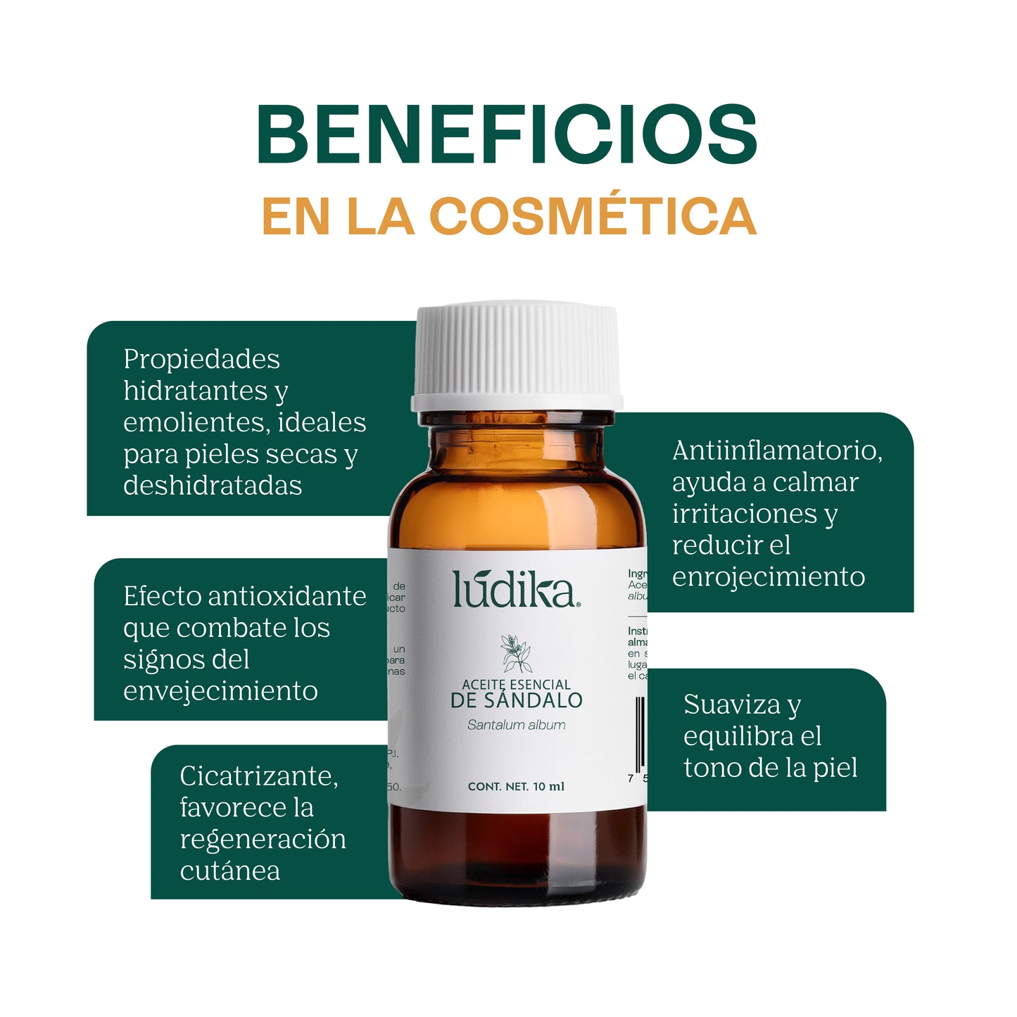 Aceite Esencial de Sándalo | Facial, Spa y Aromaterapia | El Elixir de la Paz y la Belleza para Piel Radiante y Bienestar Profundo