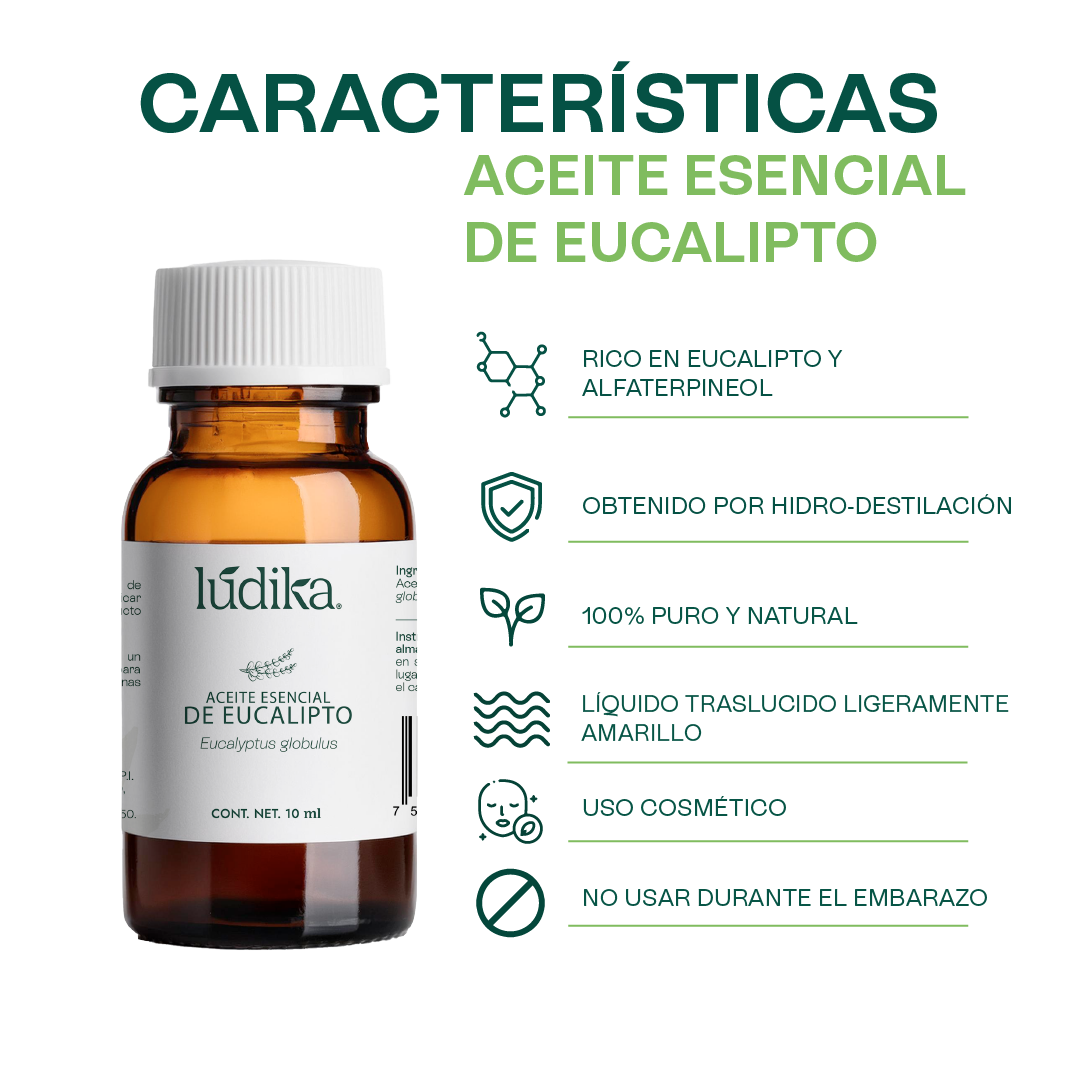 Aceite Esencial de Eucalipto | Corporal, Capilar y Aromaterapia | El Aliento Puro de la Naturaleza para Vías Respiratorias, Piel y Hogar Fresco