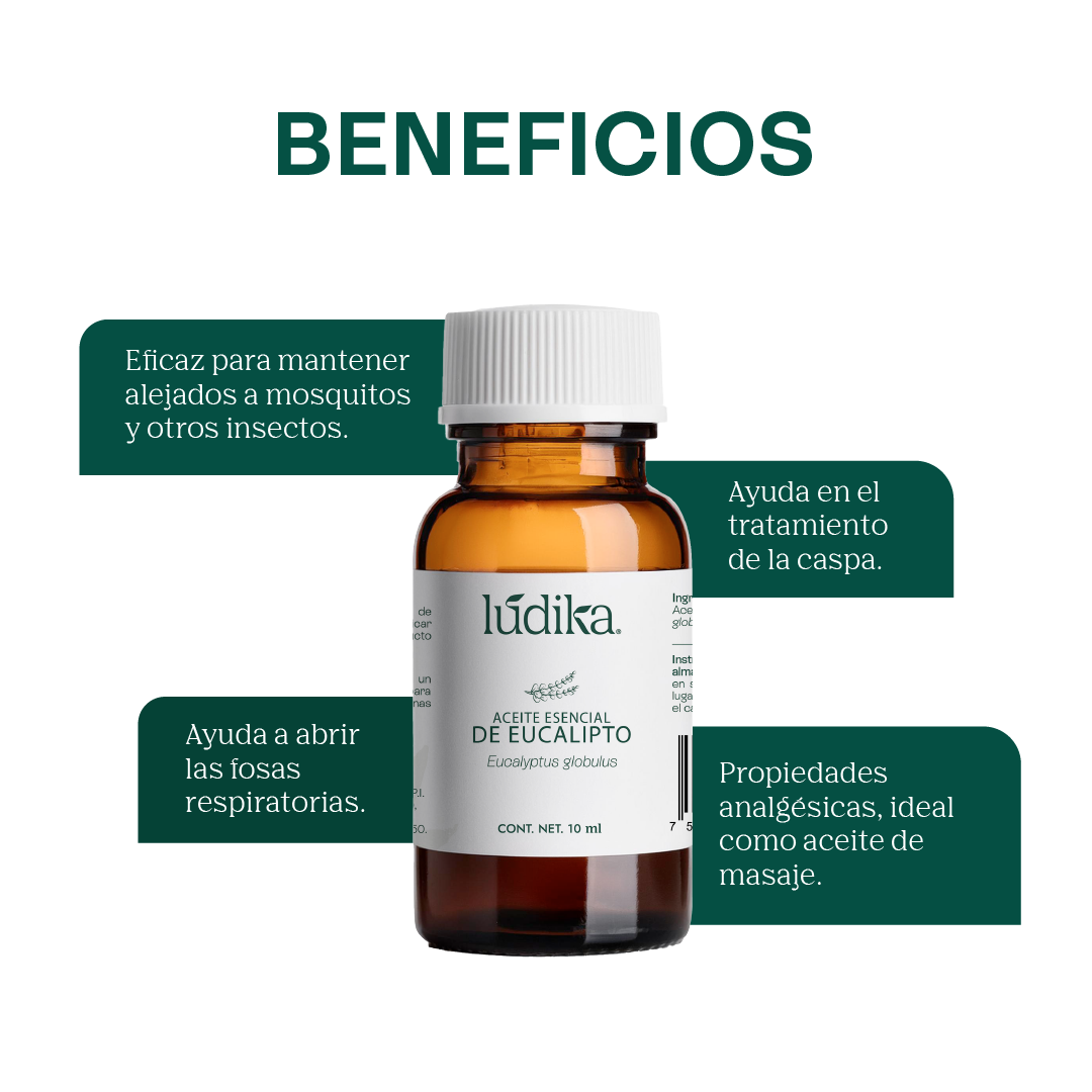 Aceite Esencial de Eucalipto | Corporal, Capilar y Aromaterapia | El Aliento Puro de la Naturaleza para Vías Respiratorias, Piel y Hogar Fresco