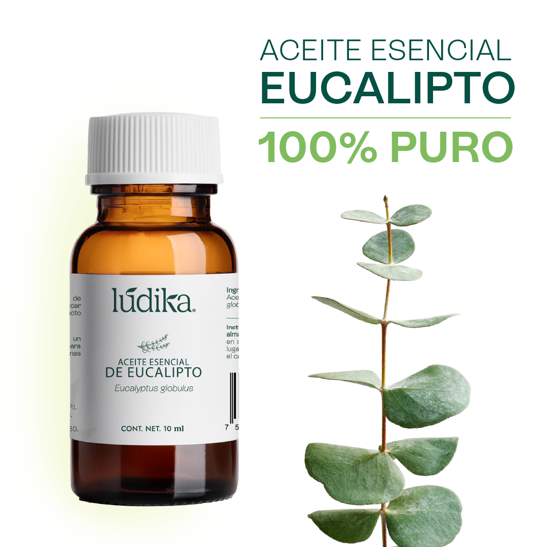 Aceite Esencial de Eucalipto | Corporal, Capilar y Aromaterapia | El Aliento Puro de la Naturaleza para Vías Respiratorias, Piel y Hogar Fresco