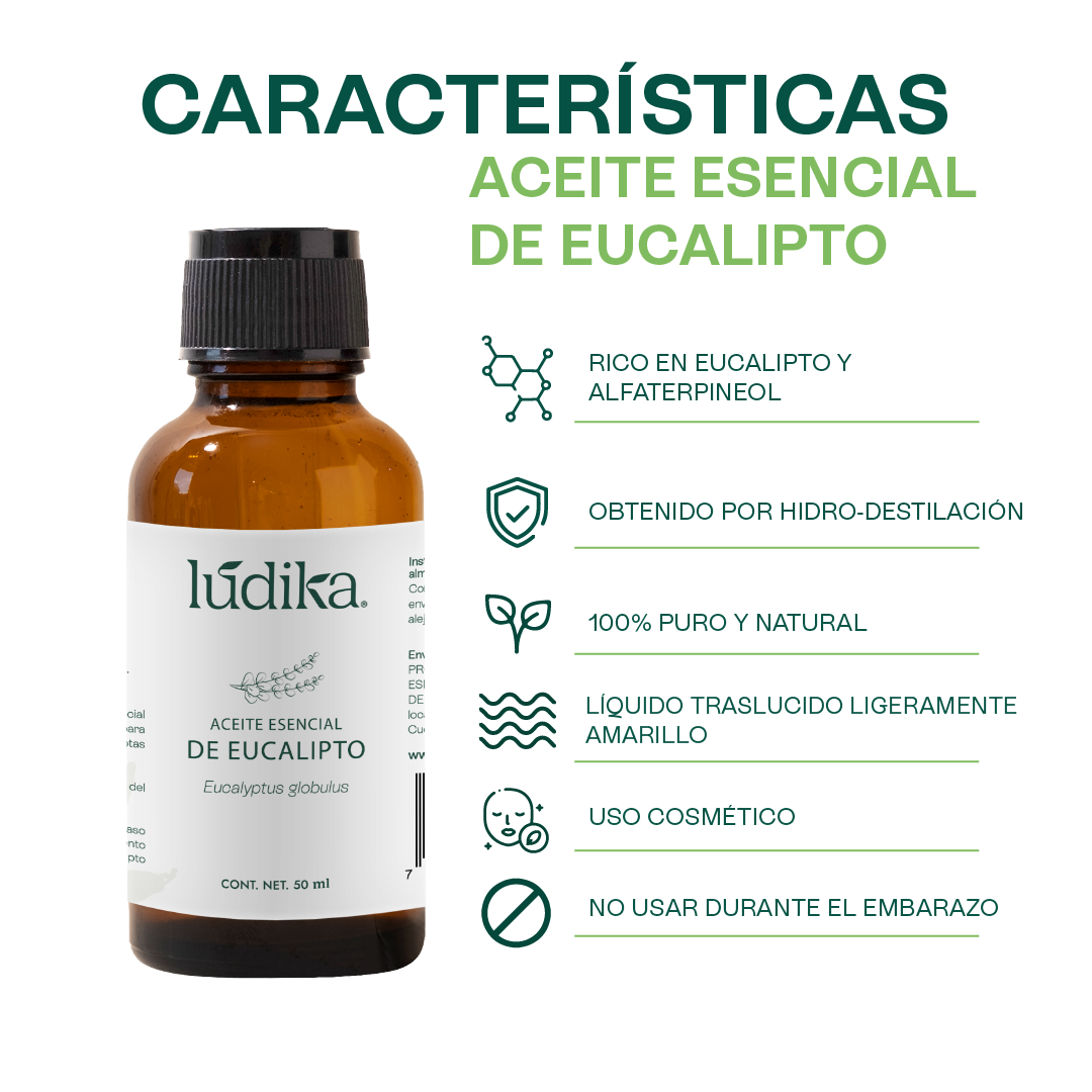 Aceite Esencial de Eucalipto | Corporal, Capilar y Aromaterapia | El Aliento Puro de la Naturaleza para Vías Respiratorias, Piel y Hogar Fresco