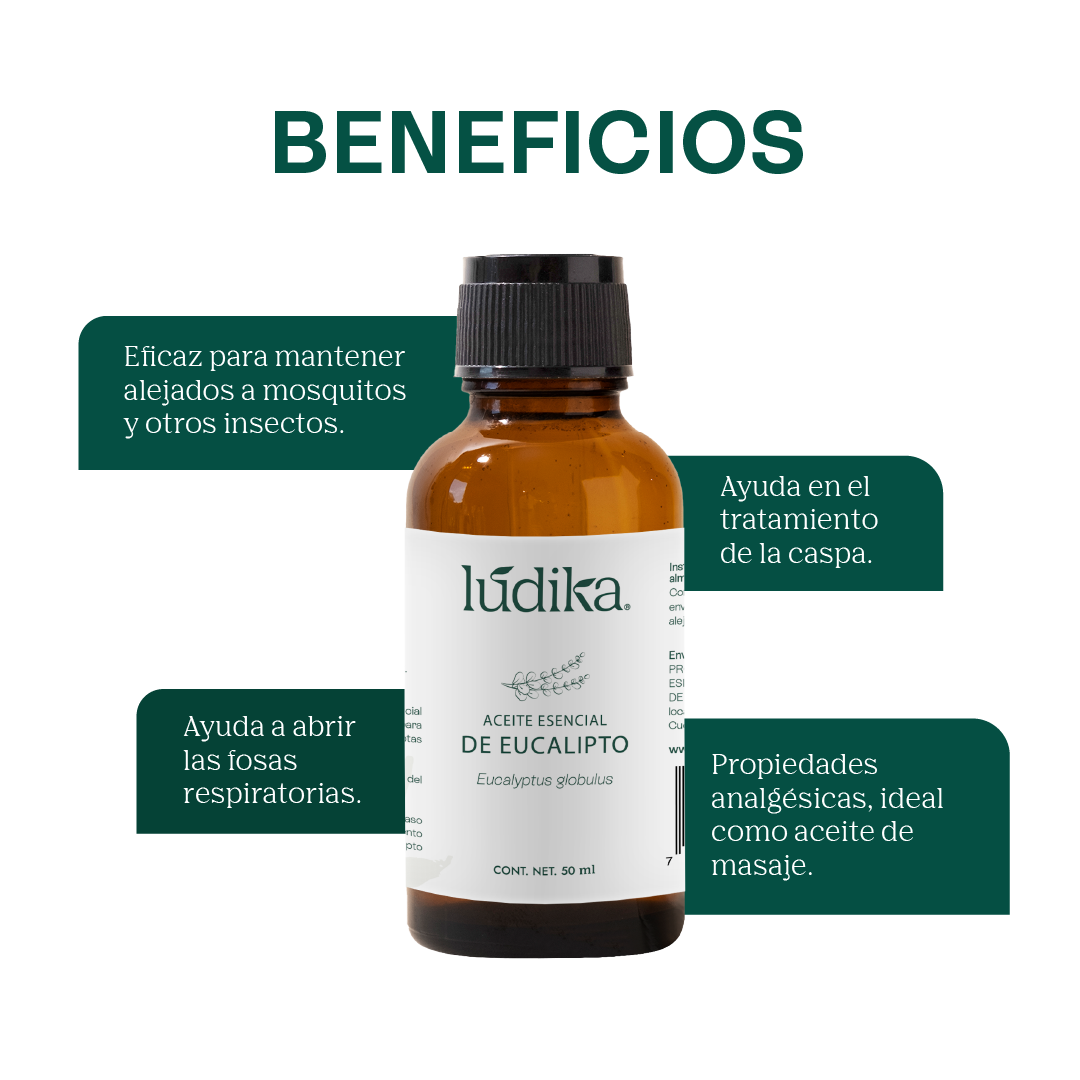 Aceite Esencial de Eucalipto | Corporal, Capilar y Aromaterapia | El Aliento Puro de la Naturaleza para Vías Respiratorias, Piel y Hogar Fresco