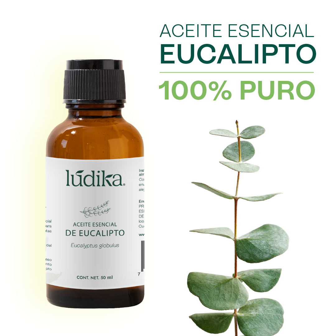 Aceite Esencial de Eucalipto | Corporal, Capilar y Aromaterapia | El Aliento Puro de la Naturaleza para Vías Respiratorias, Piel y Hogar Fresco