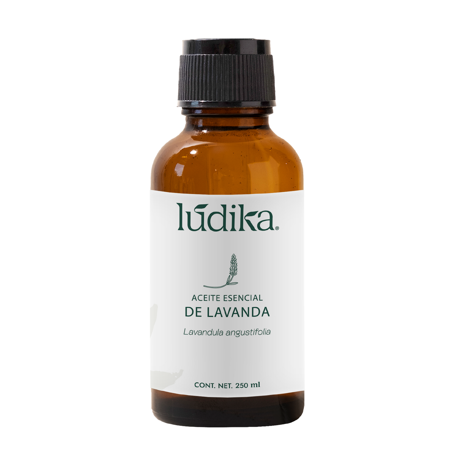 Aceite Esencial de Lavanda | Facial, Spa y Aromaterapia | Calmante, Regenerador Cutáneo y Equilibrante para Piel, Cabello y Mente