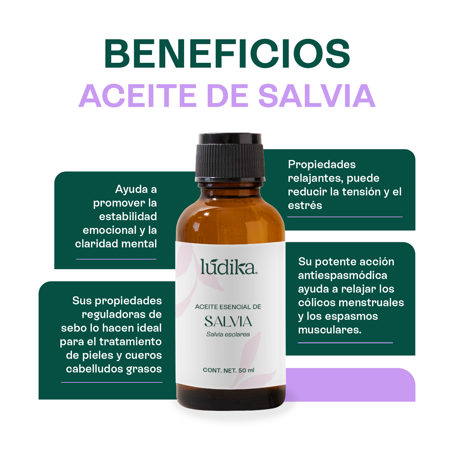 Aceite Esencial de Salvia | Corporal, Spa y Aromaterapia| Clarificante Mental, Regenerador Cutáneo y Equilibrante para Piel y Cabello
