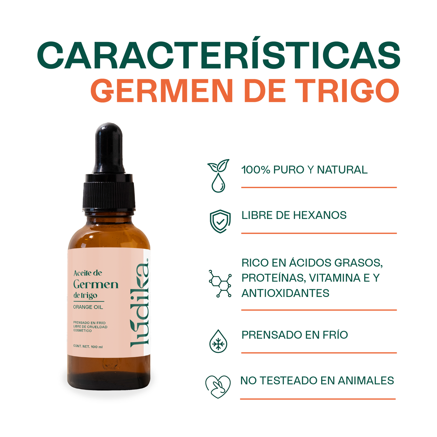 Aceite de Germen de Trigo Virgen | Capilar, Facial y Corporal | Regenerador, Antioxidante y Equilibrante Cutáneo