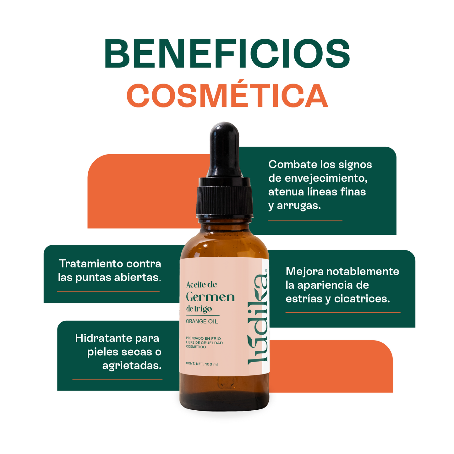 Aceite de Germen de Trigo Virgen | Capilar, Facial y Corporal | Regenerador, Antioxidante y Equilibrante Cutáneo