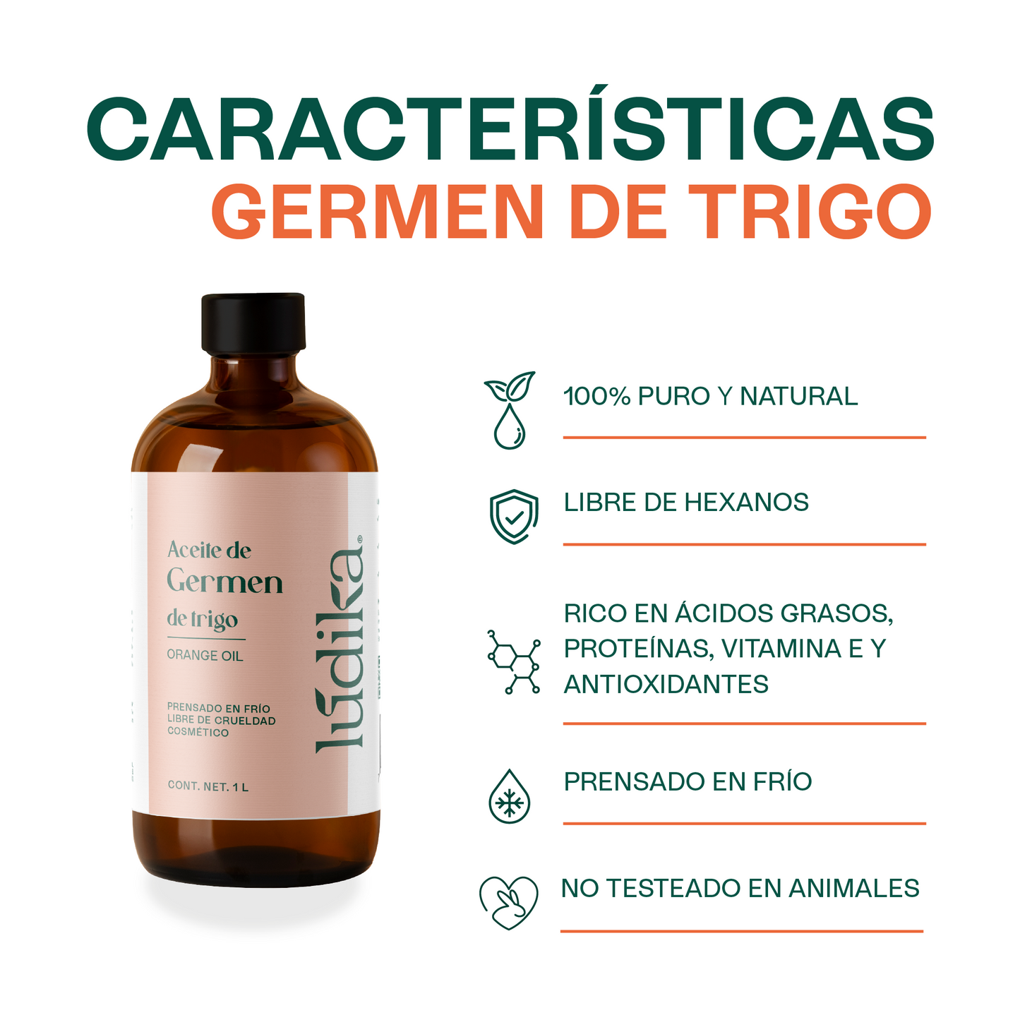 Aceite de Germen de Trigo Virgen | Capilar, Facial y Corporal | Regenerador, Antioxidante y Equilibrante Cutáneo