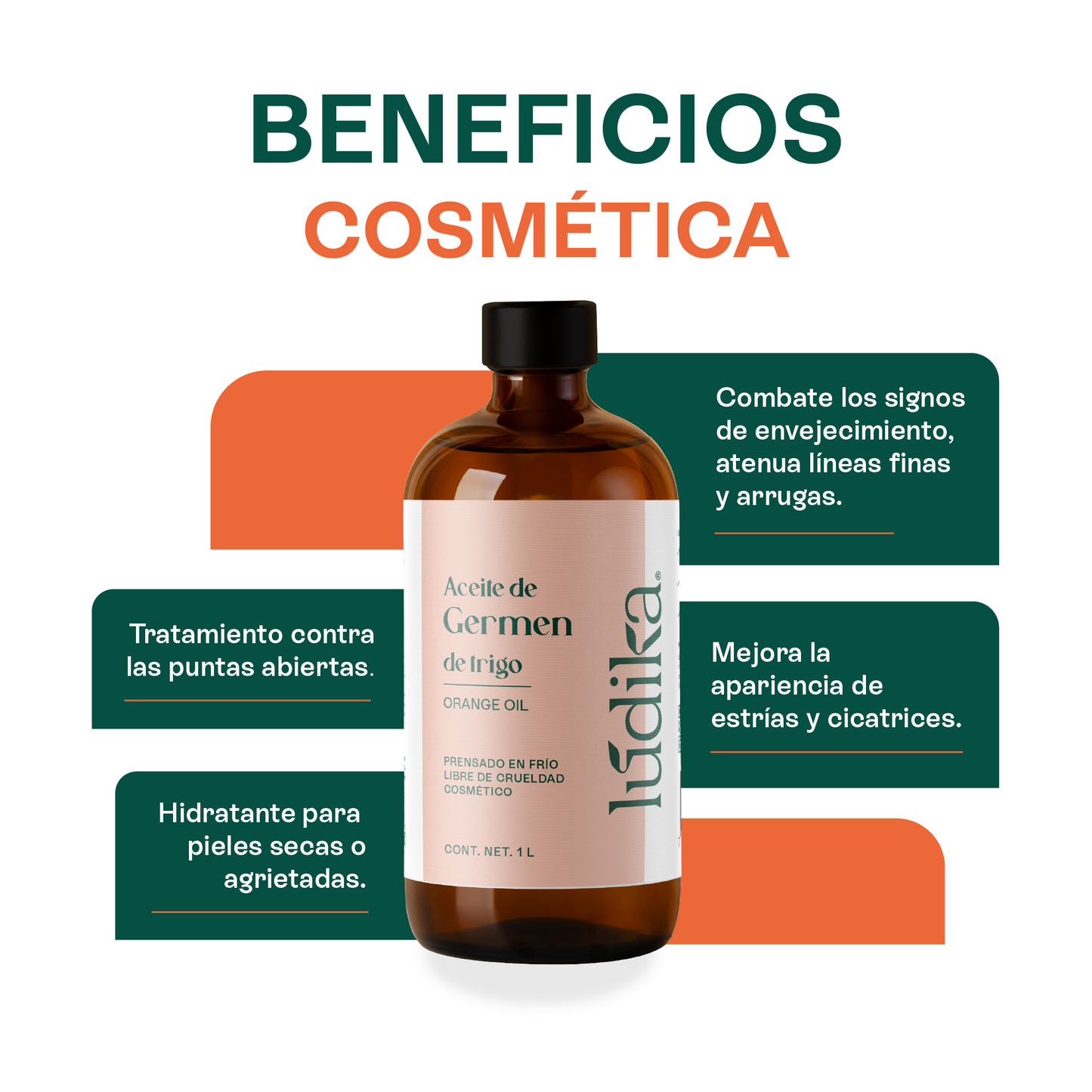 Aceite de Germen de Trigo Virgen | Capilar, Facial y Corporal | Regenerador, Antioxidante y Equilibrante Cutáneo