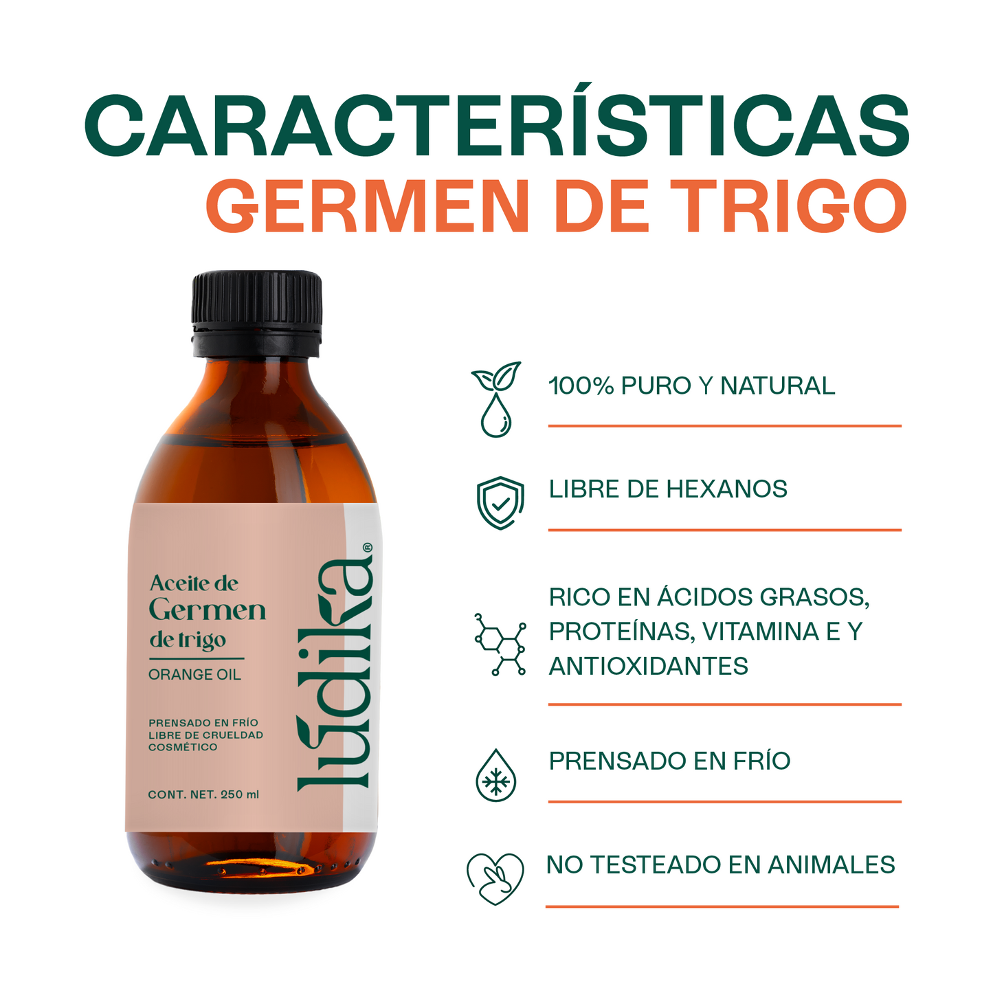 Aceite de Germen de Trigo Virgen | Capilar, Facial y Corporal | Regenerador, Antioxidante y Equilibrante Cutáneo