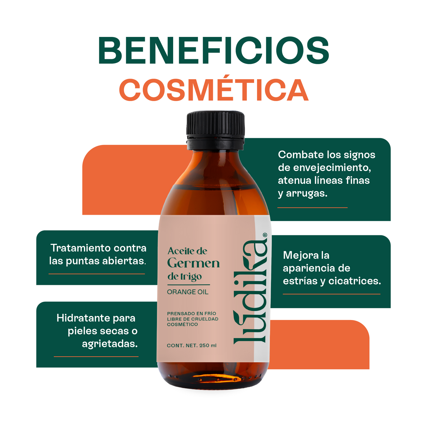 Aceite de Germen de Trigo Virgen | Capilar, Facial y Corporal | Regenerador, Antioxidante y Equilibrante Cutáneo