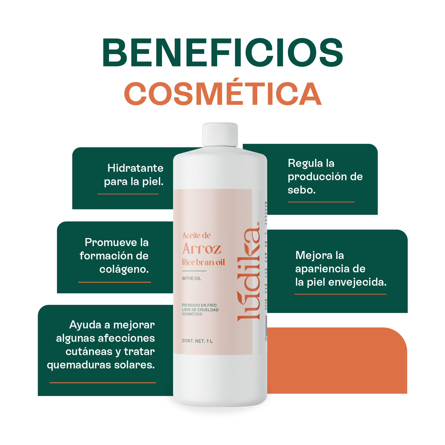 Aceite de Arroz Integral Puro | Facial y Capilar | Antioxidante, Hidratante e ideal para el contorno de ojos