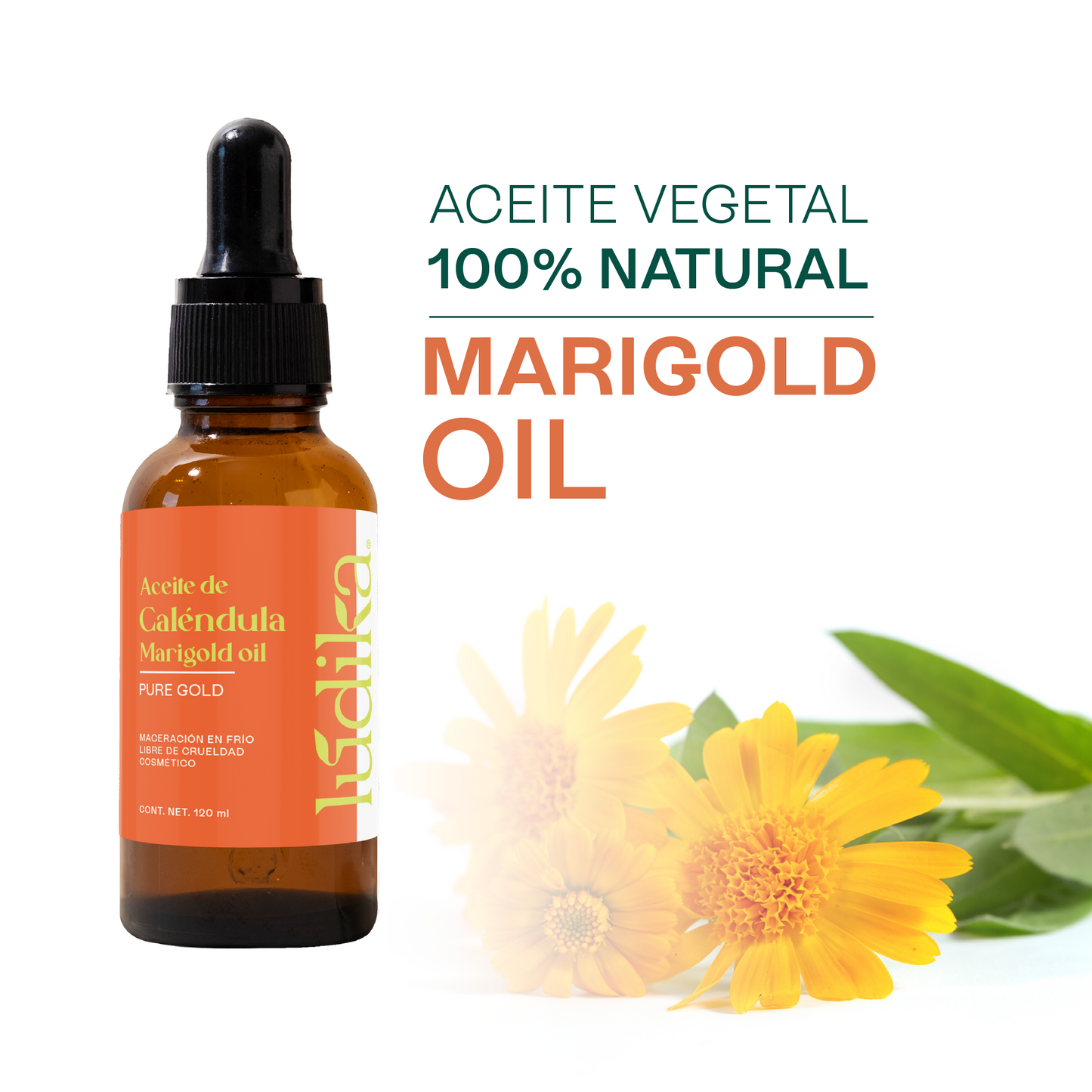 Aceite de Caléndula Natural | Facial y corporal | Calmante, Cicatrizante y Protector Antioxidante