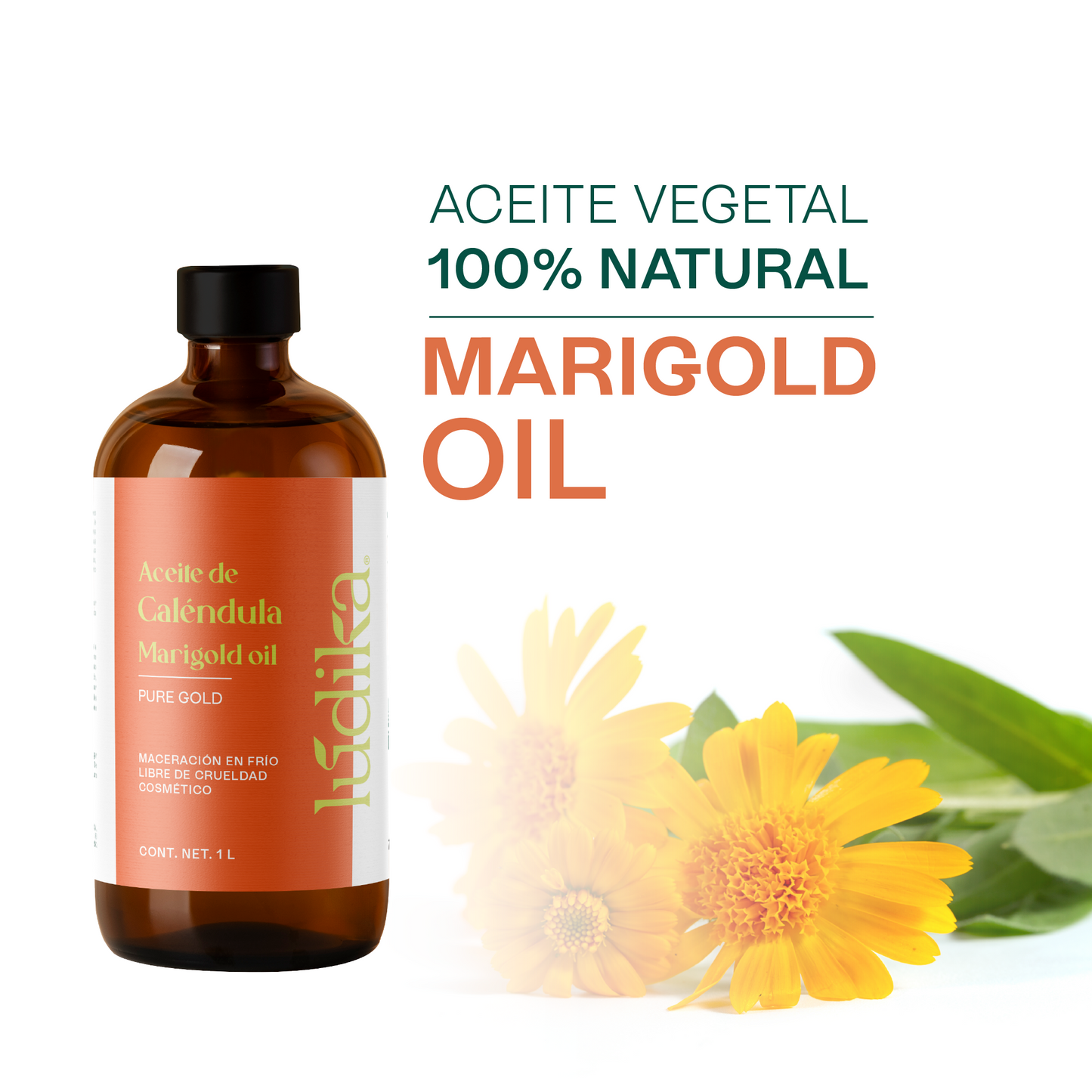 Aceite de Caléndula Natural | Facial y corporal | Calmante, Cicatrizante y Protector Antioxidante