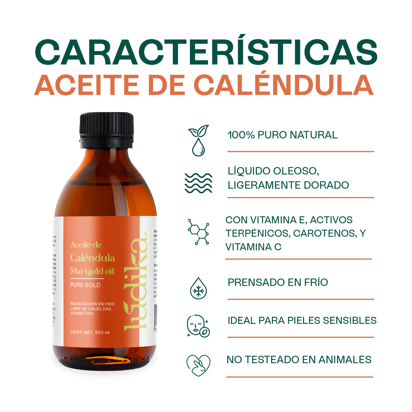 Aceite de Caléndula Natural | Facial y corporal | Calmante, Cicatrizante y Protector Antioxidante