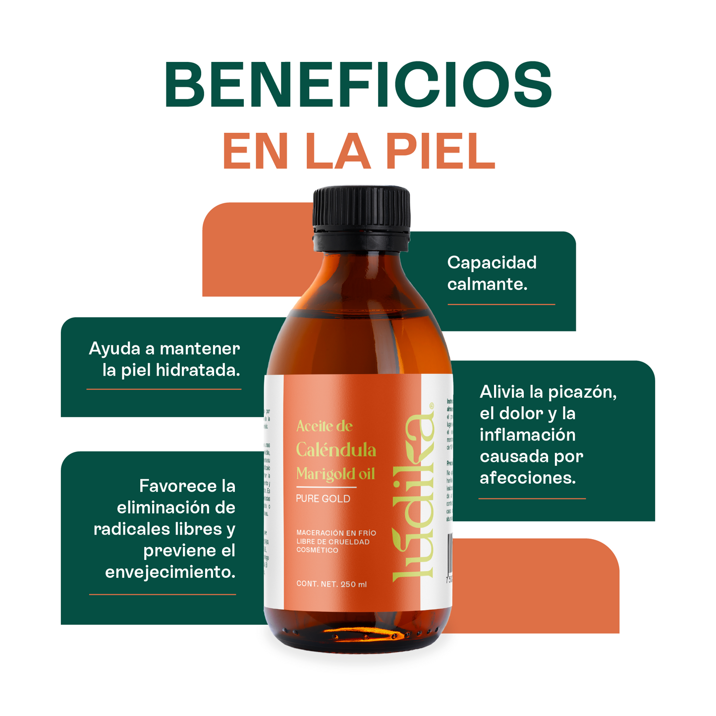 Aceite de Caléndula Natural | Facial y corporal | Calmante, Cicatrizante y Protector Antioxidante