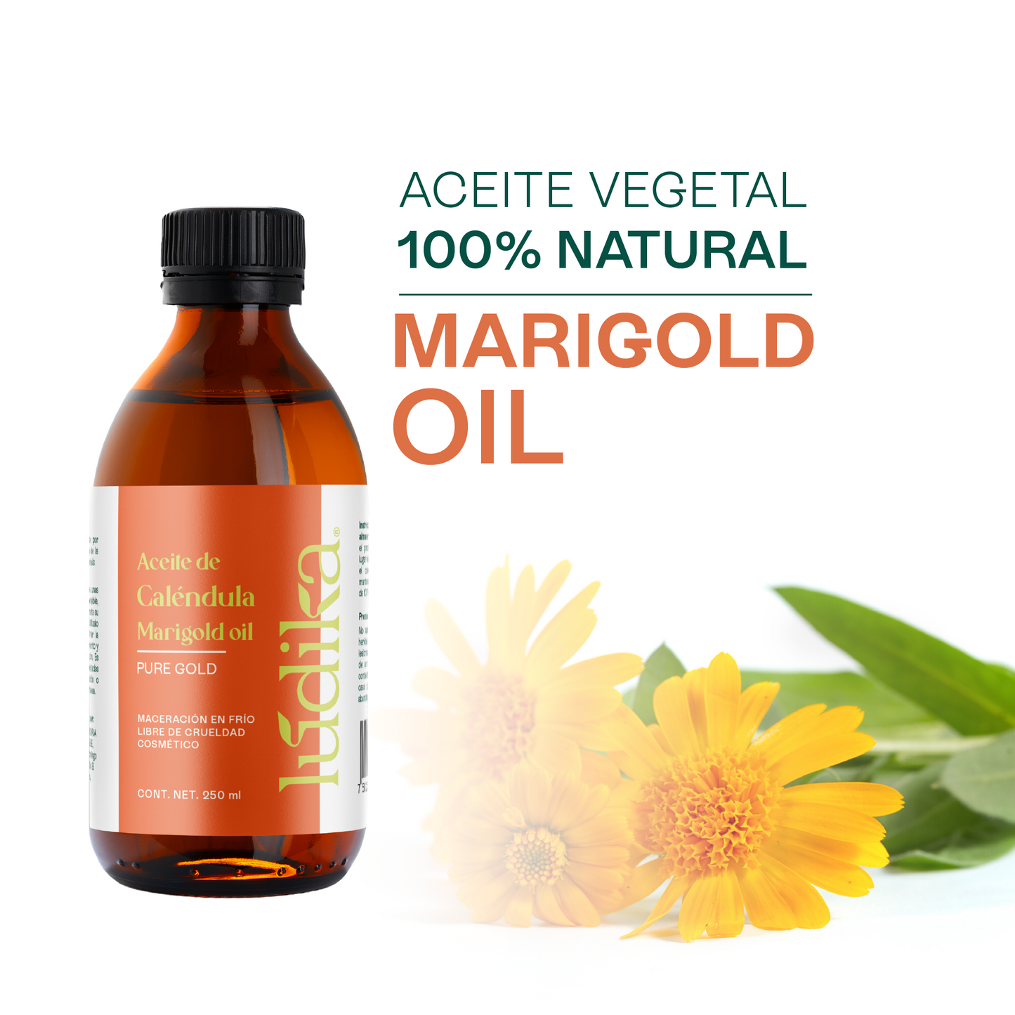 Aceite de Caléndula Natural | Facial y corporal | Calmante, Cicatrizante y Protector Antioxidante