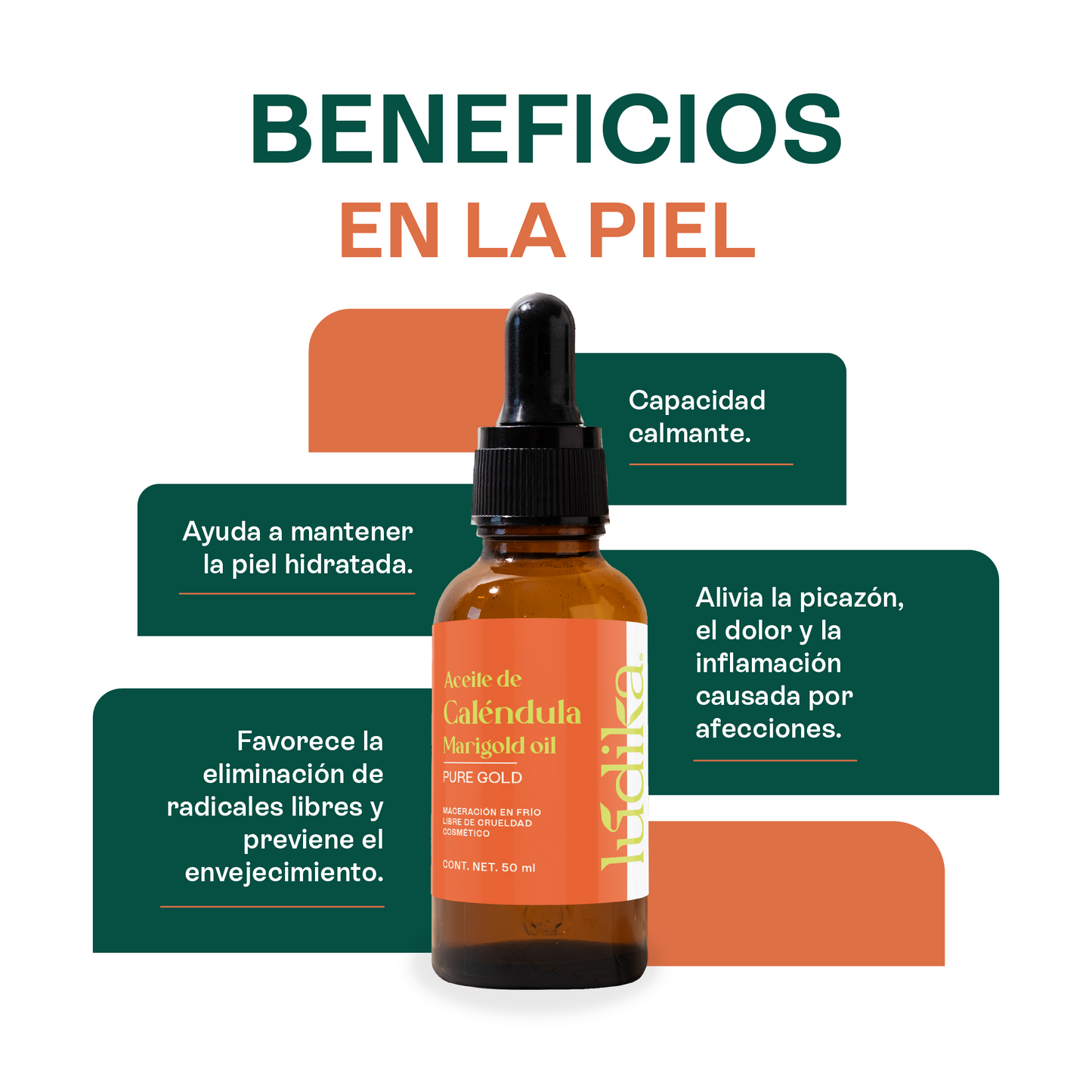 Aceite de Caléndula Natural | Facial y corporal | Calmante, Cicatrizante y Protector Antioxidante