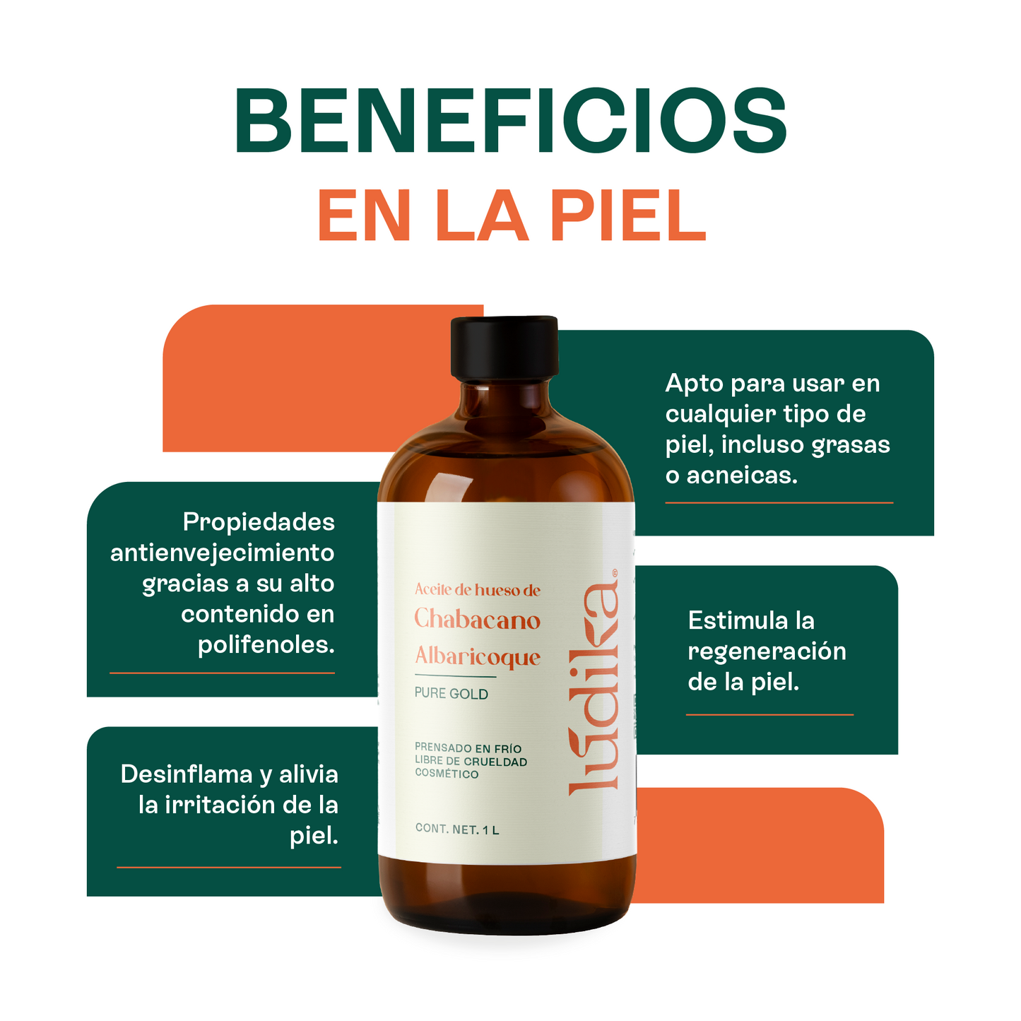 Aceite de Chabacano Albaricoque Virgen | Facial Capilar y Corporal | Antioxidante e Hidratación Suave para pieles maduras y secas