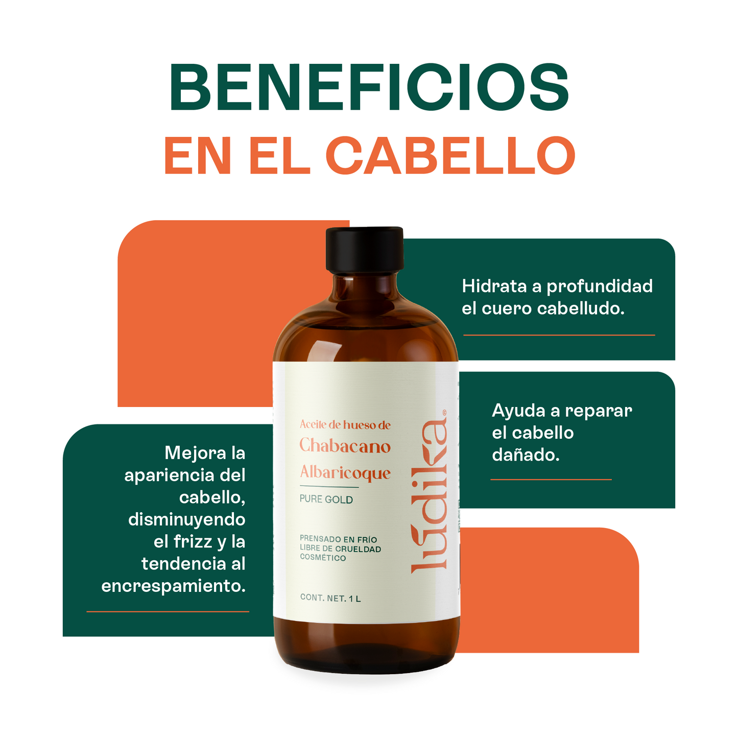 Aceite de Chabacano Albaricoque Virgen | Facial Capilar y Corporal | Antioxidante e Hidratación Suave para pieles maduras y secas