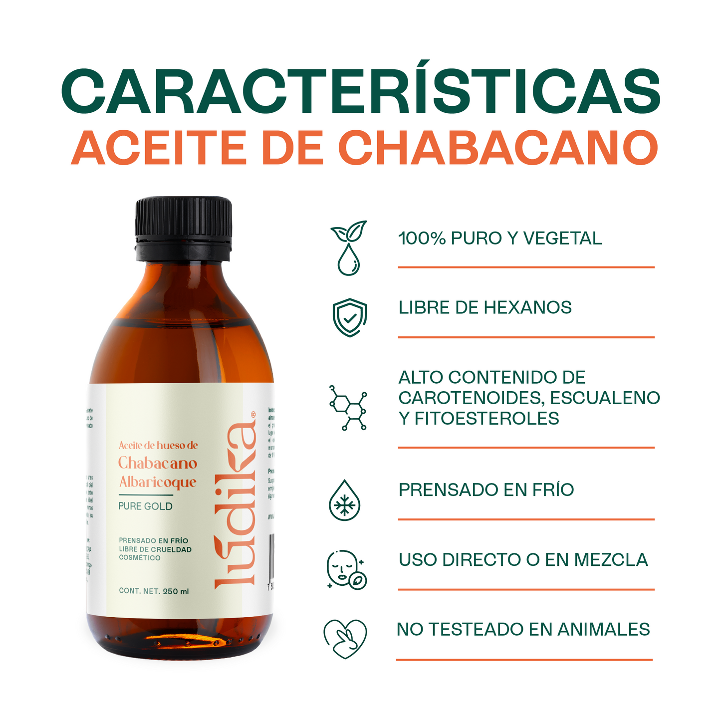 Aceite de Chabacano Albaricoque Virgen | Facial Capilar y Corporal | Antioxidante e Hidratación Suave para pieles maduras y secas