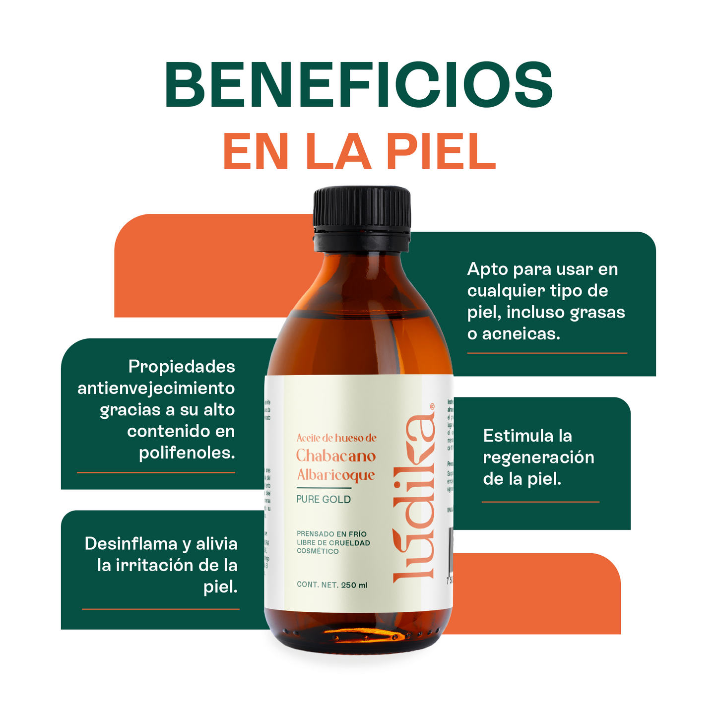 Aceite de Chabacano Albaricoque Virgen | Facial Capilar y Corporal | Antioxidante e Hidratación Suave para pieles maduras y secas